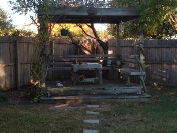 mesaskin profile photo