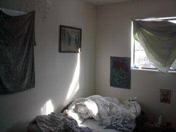 willowkiva profile photo