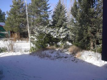 willowkiva profile photo