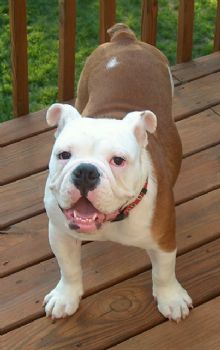 Kara22 profile photo