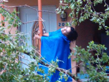 cece007 profile photo