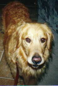 TifH22 profile photo