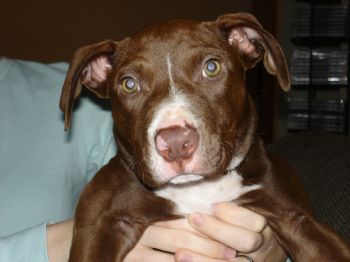 kenixon04 profile photo