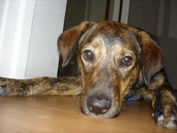 kenixon04 profile photo