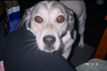 becky6557 profile photo