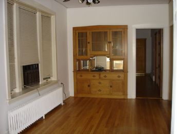 dogshania profile photo