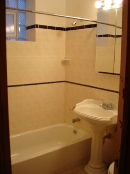 dogshania profile photo