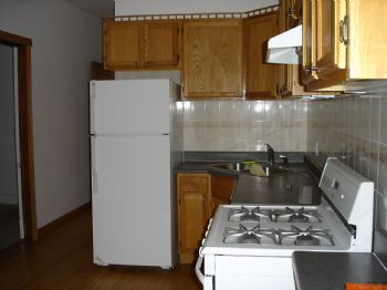 dogshania profile photo