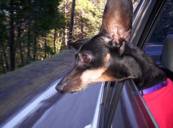 RickandSadie profile photo