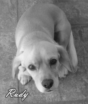 melisa_marie profile photo