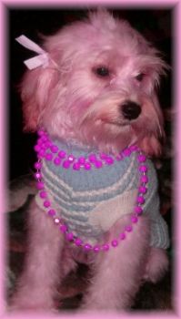 melisa_marie profile photo