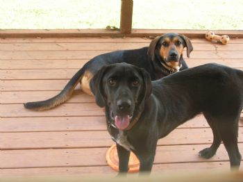 capettit profile photo