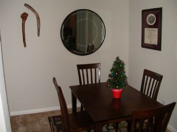 tamborineman profile photo