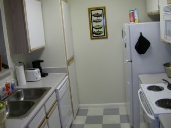 tamborineman profile photo