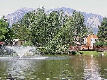 mustlovecats profile photo