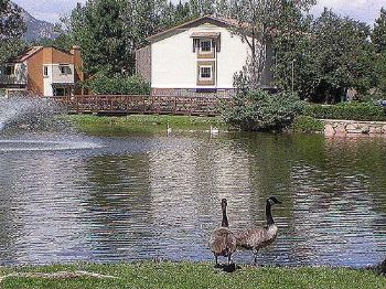 mustlovecats profile photo