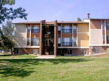 mustlovecats profile photo