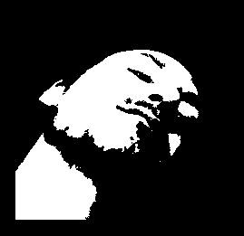 shucky profile photo