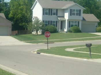 robinb4 profile photo