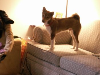 Princessa82 profile photo