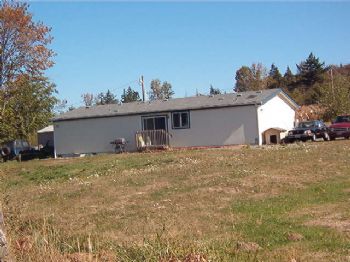 windspirt profile photo