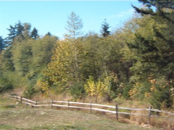 windspirt profile photo