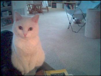 jeniper profile photo