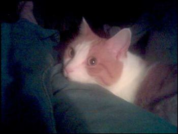 jeniper profile photo