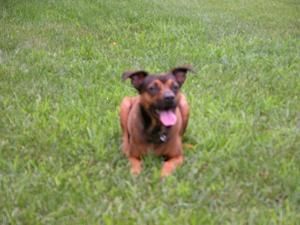 HeatherJC26 profile photo