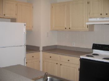 steveyonkman profile photo