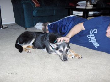 mwester79 profile photo