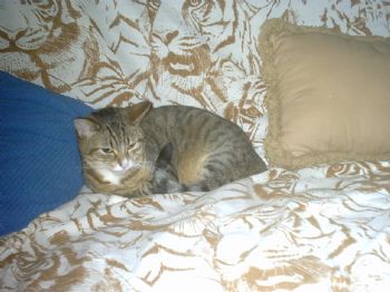 tomandgretch profile photo