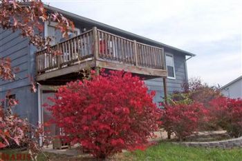 Clinton1980 profile photo