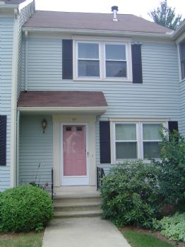 vballplayer4 profile photo