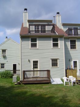 vballplayer4 profile photo