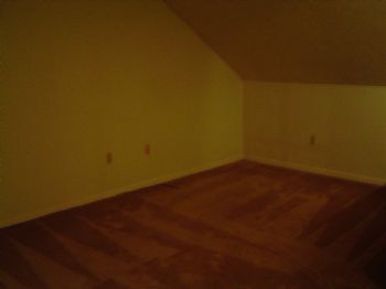 vballplayer4 profile photo