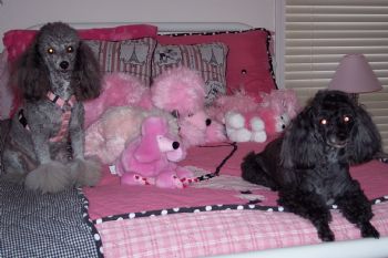 oohlalaa_01 profile photo