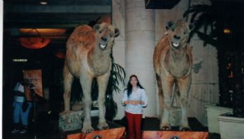 Shanta profile photo