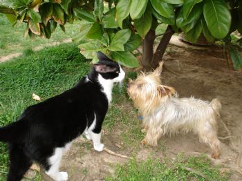 sndrdieg profile photo