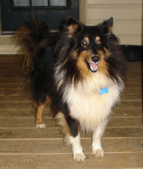 sndrdieg profile photo