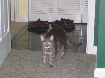 mlm61477 profile photo