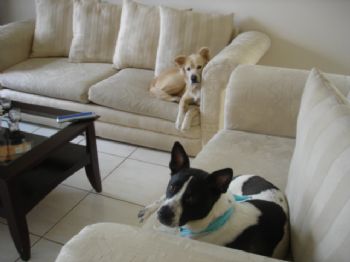 eightyf0ur profile photo