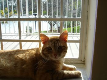 eightyf0ur profile photo