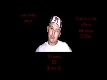 559_guy profile photo