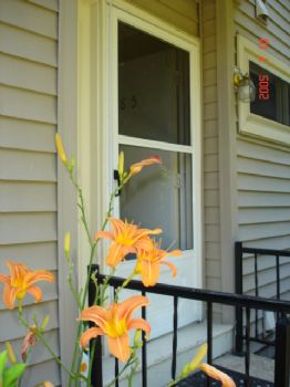 NorwichRoom profile photo