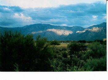 CamilleB profile photo