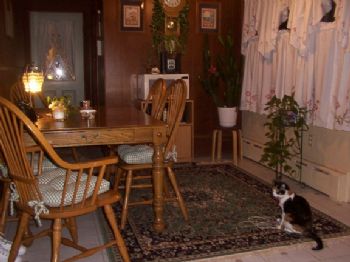 maulau profile photo