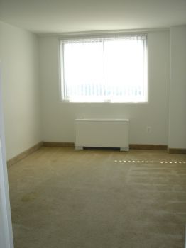 blueangel9 profile photo