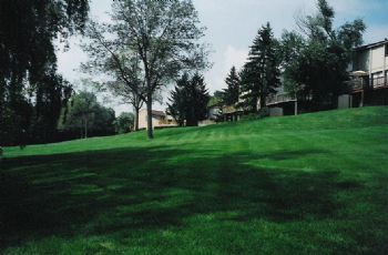 WestBloom profile photo