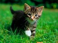 ticoty06 profile photo